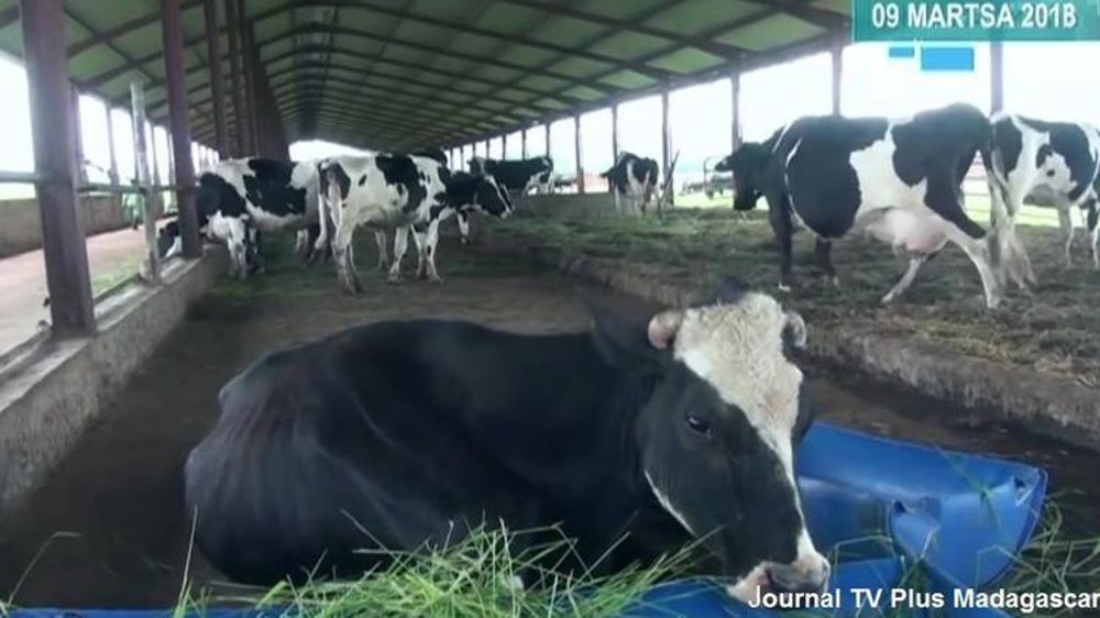 © Facebook/US Emabassy Madagascar