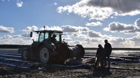 L’agriculture affiche la plus forte progression en matière d’opportunités d’embauche au deuxième trimestre de 2018. Reste à trouver les candidats. © R. Aries/GFA L’agriculture affiche la plus forte progression en matière d’opportunités d’embauche au deuxième trimestre de 2018. Reste à trouver les candidats. © R. Aries/GFA