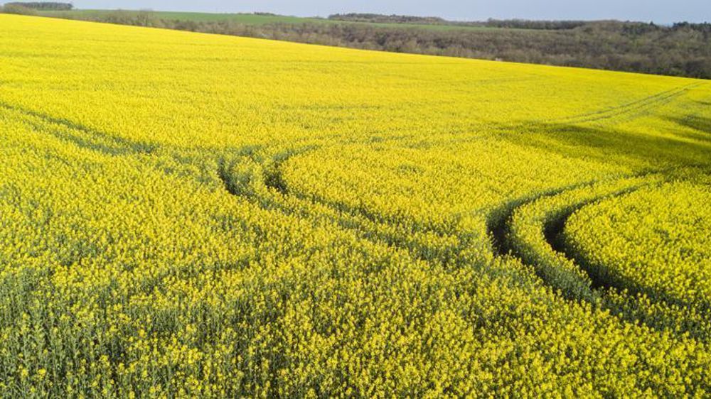 Photo d’illustration. © Cédric Faimali