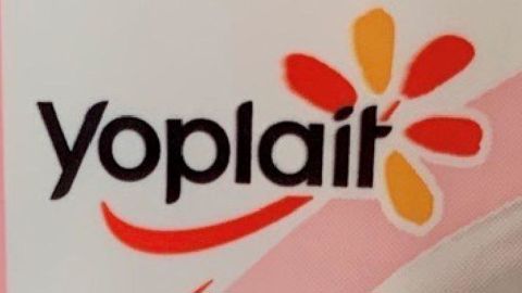 Sodiaal négocia avec General Mills pour prendre le contrôle des opérations de la marque Yoplait en Europe. © O. Dieulot