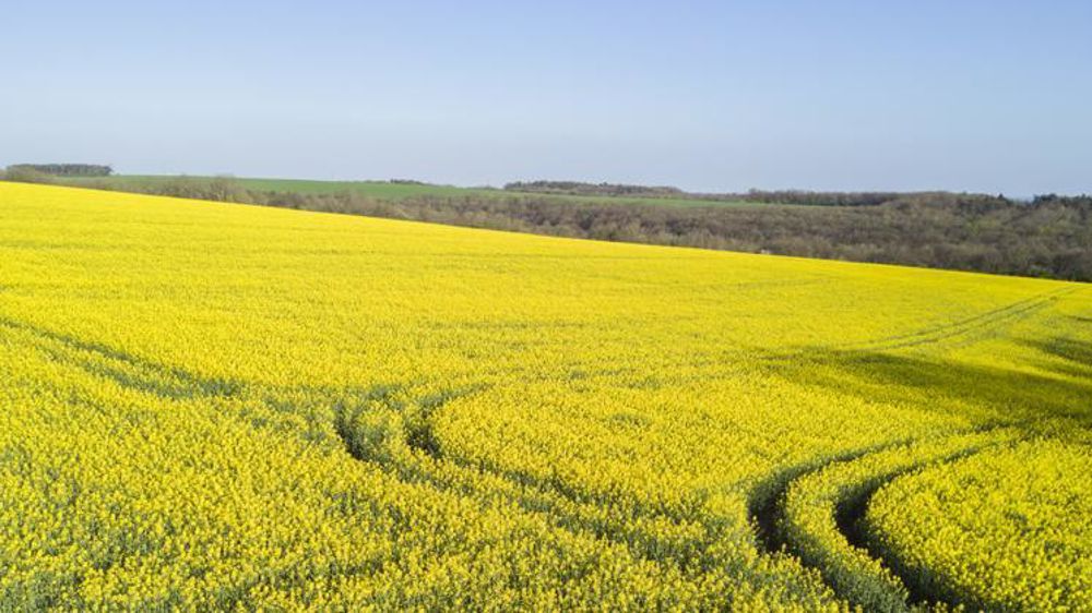 © Cédric Faimali/GFA