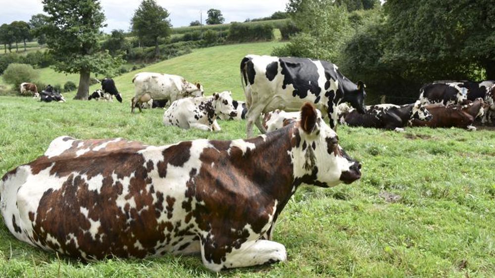 © Cédric Faimali/GFA