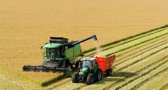 Une insuffisance internationale de blé pour la fin de la saison ?