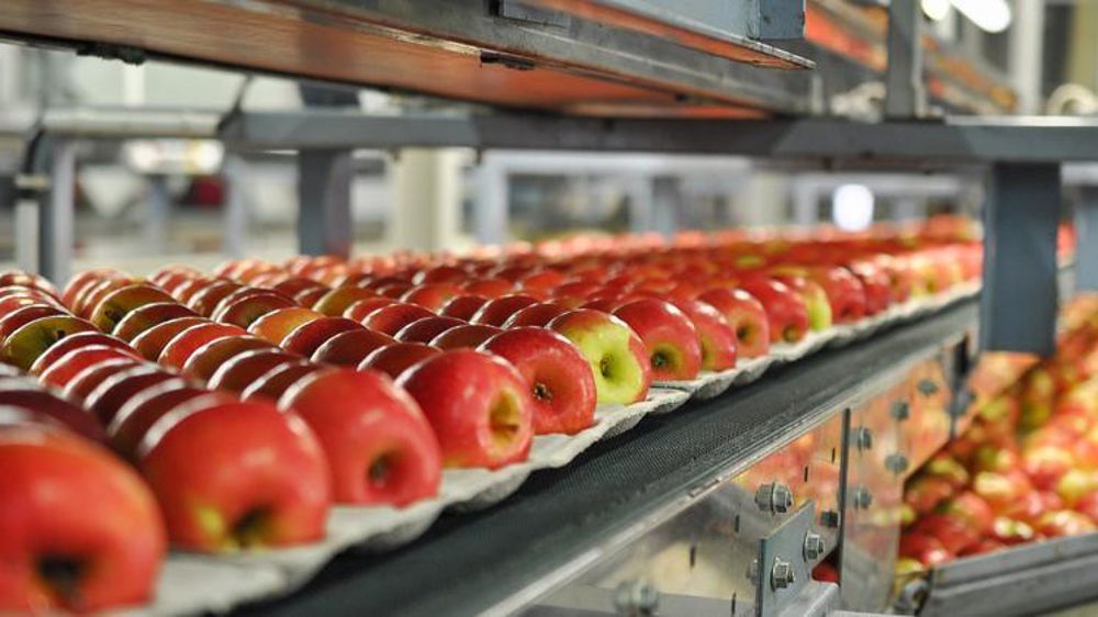 © Philippe Dufour/Interfel