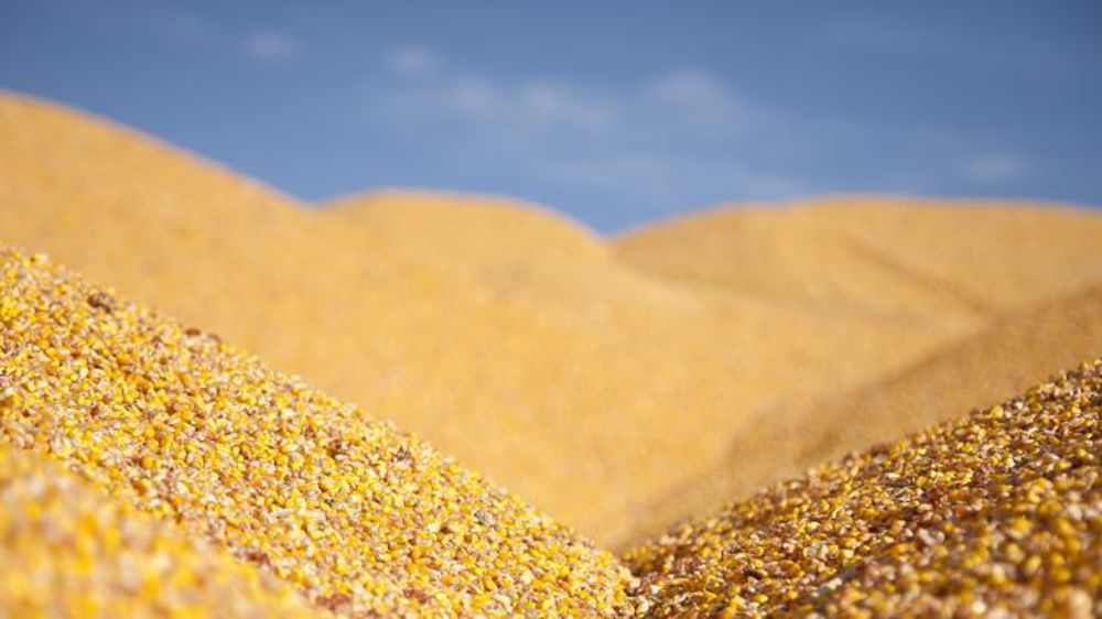 © Sébastien Champion