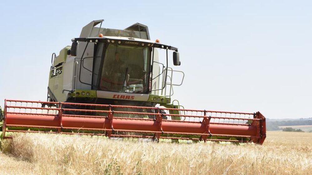 Le maintien de perspectives de production mondiale record de blé ont pesé sur les prix internationaux. © C. Faimali/GFA