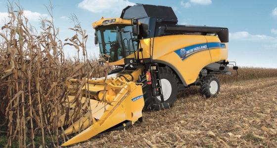 La qualité des maïs est attendue en baisse pour la récolte 2012