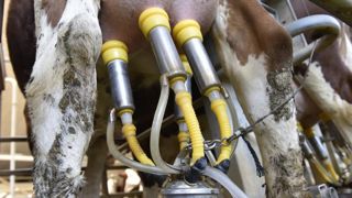 Les perspectives sur le marché des produits laitiers sont plutôt mitigées pour les prochains mois, selon Benoît Rouyer, économiste au Cniel, l’interprofession laitière. © C. Faimali/GFA Les perspectives sur le marché des produits laitiers sont plutôt mitigées pour les prochains mois, selon Benoît Rouyer, économiste au Cniel, l’interprofession laitière. © C. Faimali/GFA