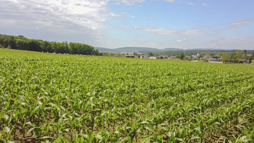 © Cédric Faimali/GFA