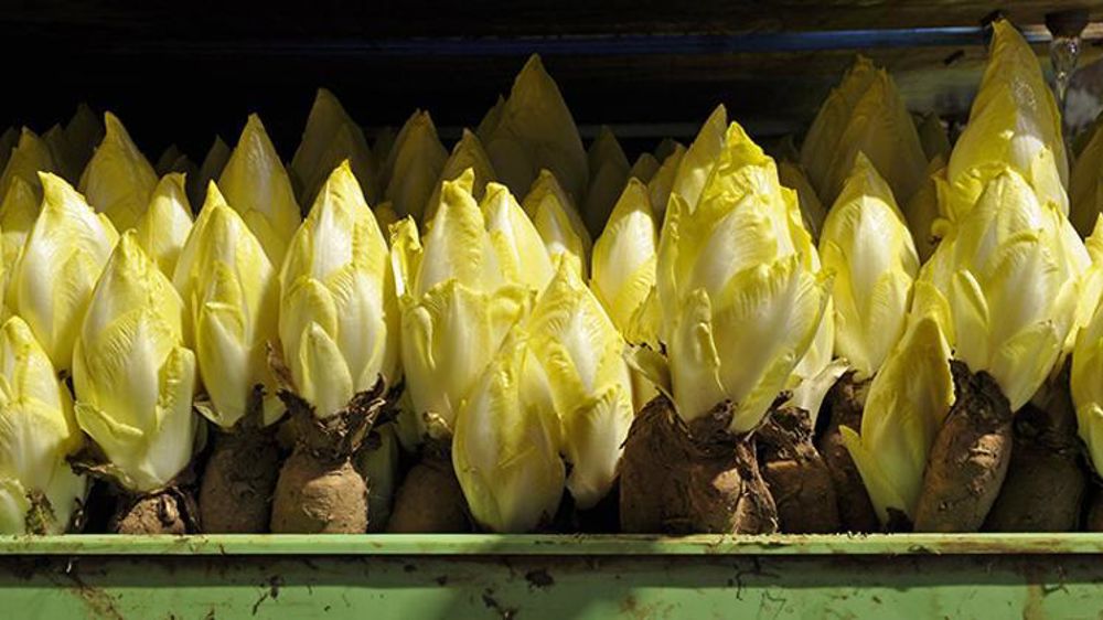 © Philippe Dufour/Interfel