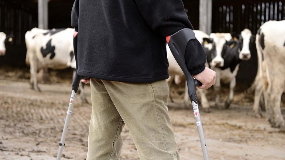 © Stéphane Leitenberger