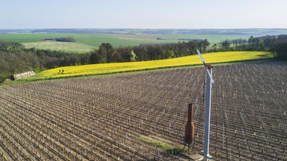 Photo d’illustration. © C. Faimali/GFA