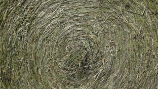 Lorsque l’humidité du foin récolté est supérieure à 17 %, il y a un risque d’échauffement lors du stockage qui peut entraîner un incendie. © Christian Watier Lorsque l’humidité du foin récolté est supérieure à 17 %, il y a un risque d’échauffement lors du stockage qui peut entraîner un incendie. © Christian Watier