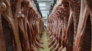 Le ministère de l’Agriculture rapporte qu’en août 2019, la demande chinoise en viande porcine a tiré les prix vers le haut sur le marché européen. © C. Faimali/GFA Le ministère de l’Agriculture rapporte qu’en août 2019, la demande chinoise en viande porcine a tiré les prix vers le haut sur le marché européen. © C. Faimali/GFA