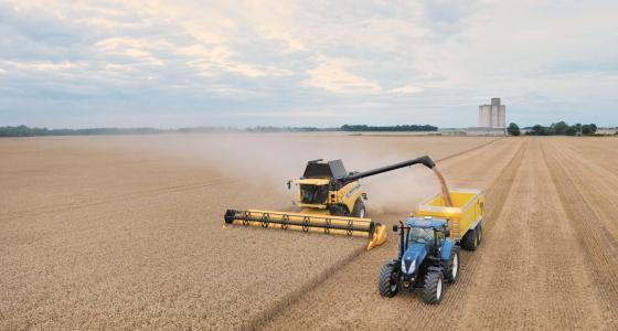 FranceAgriMer prévoit une récolte de céréales en hausse de 10 % par rapport à 2011.