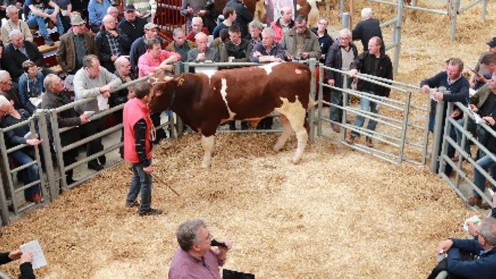 © Domaine Rouge des Prés