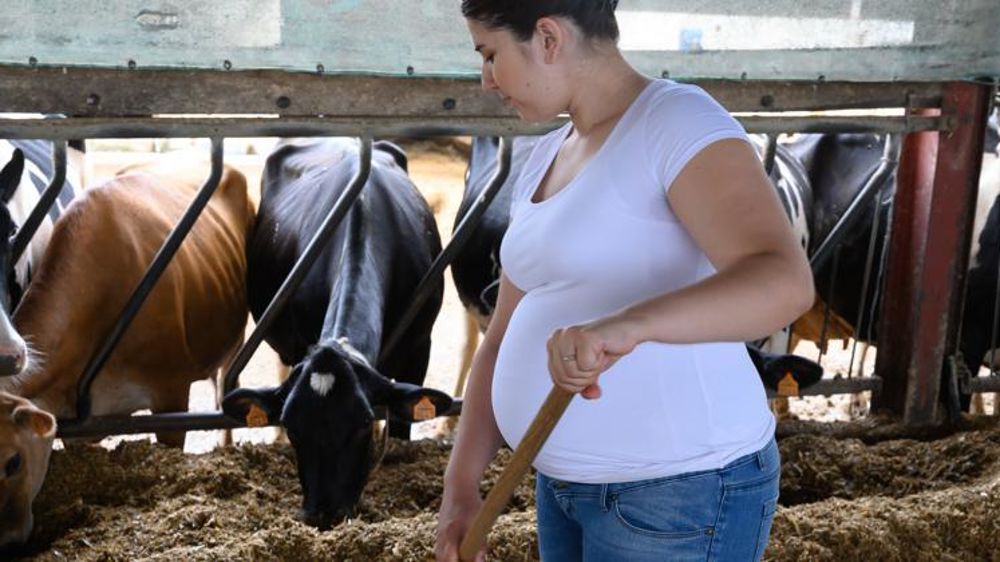 L’approche d’une naissance donne droit à la prestation d’accueil du jeune enfant (Paje). © Jean-Michel Nossant