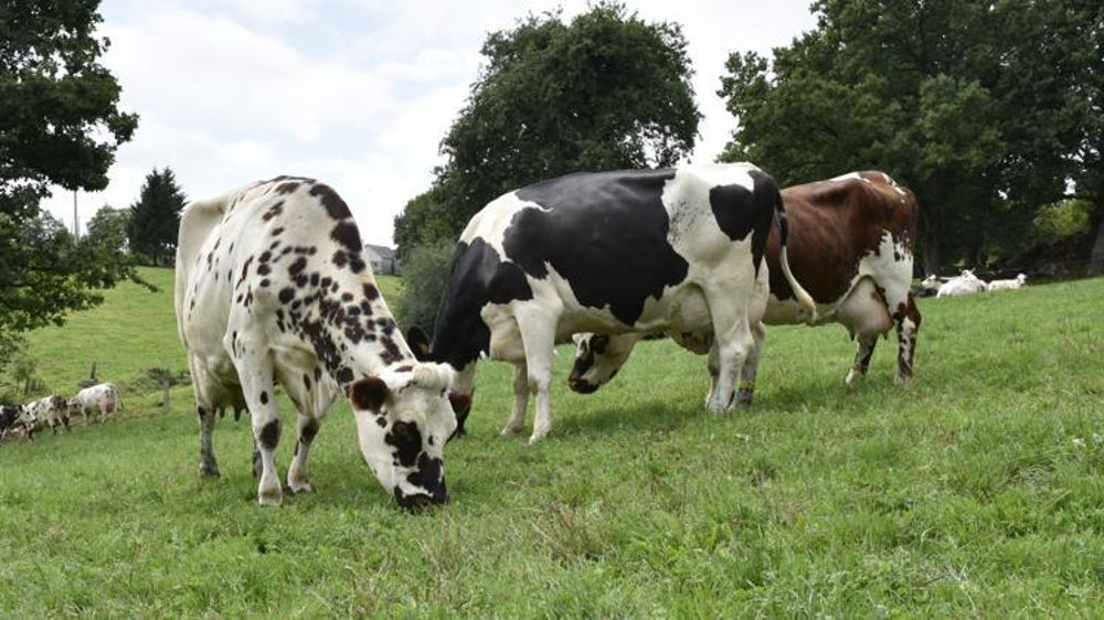 © Cédric Faimali/GFA