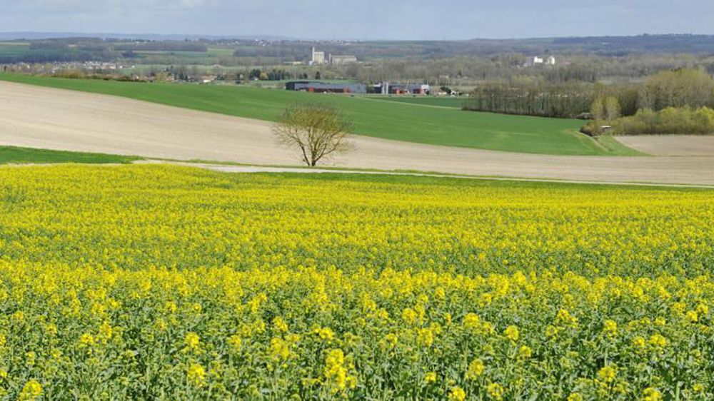 © Cédric Faimali/GFA