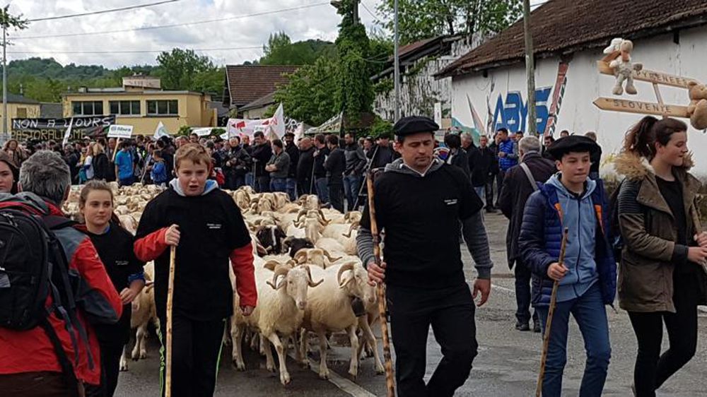 Défilé dans les rues de Pau ce 30 avril 2018 contre la réintroduction de deux ourses dans les Pyrénées-Atlantiques.© DR