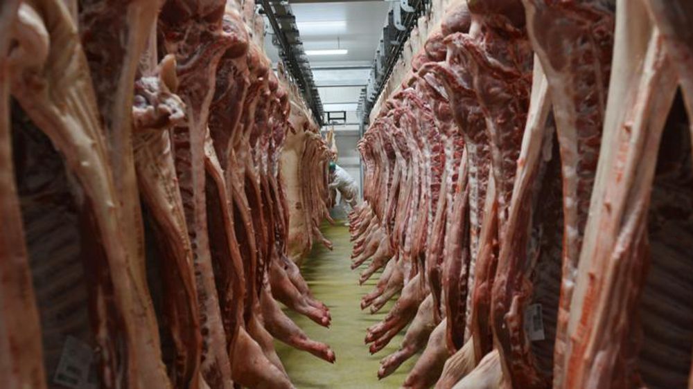 Selon le MPB, les exportations européennes de viande porcine ont augmenté de presque 12 % en août 2019 par rapport au même mois de 2018. © C. Faimali/GFA