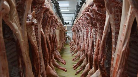 Selon le MPB, les exportations européennes de viande porcine ont augmenté de presque 12 % en août 2019 par rapport au même mois de 2018. © C. Faimali/GFA Selon le MPB, les exportations européennes de viande porcine ont augmenté de presque 12 % en août 2019 par rapport au même mois de 2018. © C. Faimali/GFA