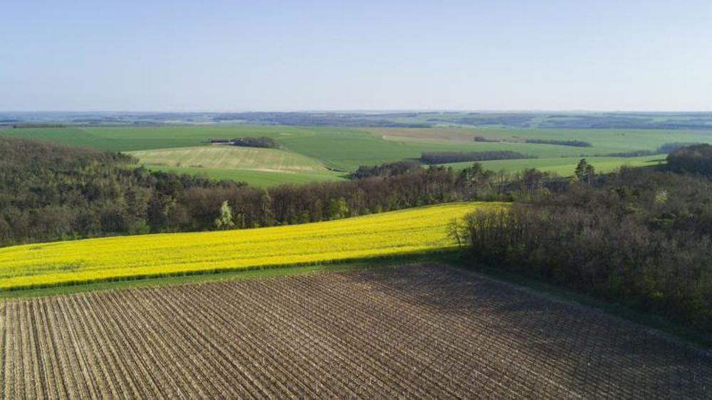 © Cédric Faimali/GFA