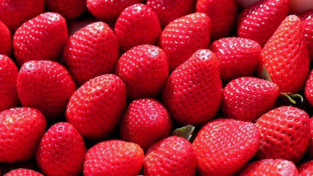 Le rebond des importations relève surtout de plus importants achats de fruits et légumes en provenance de l’Espagne et du Maroc. © Pixabay