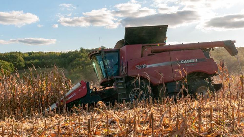 Les CIC révise à la baisse sa prévision de récolte mondiale des céréales pour la campagne 2019-2020. © Agnès Massiot/reportage