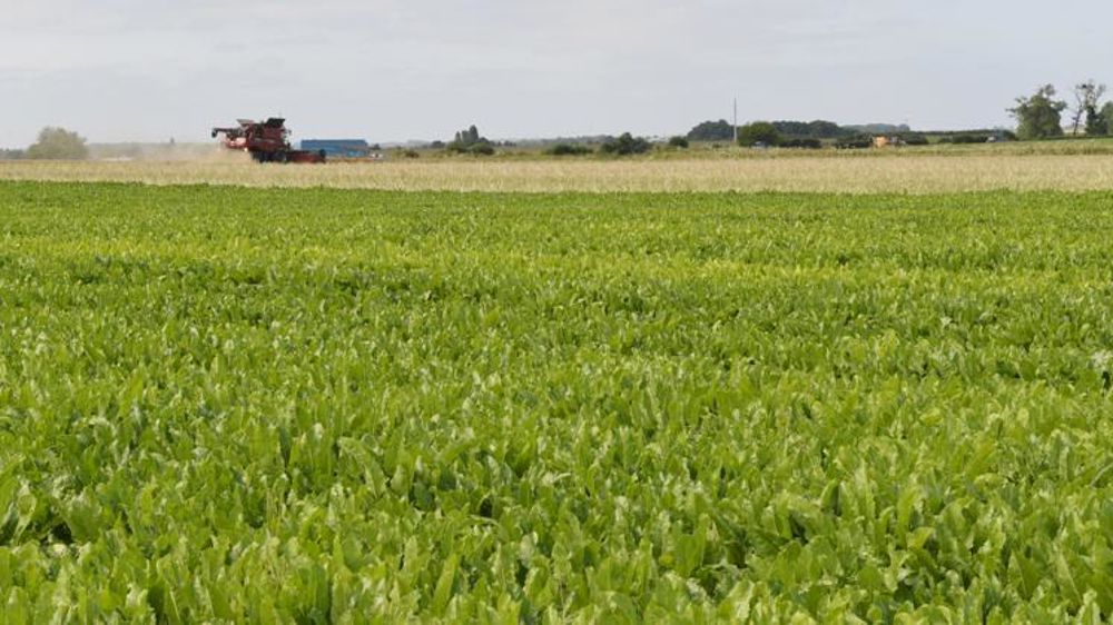 © Cédric Faimali/GFA