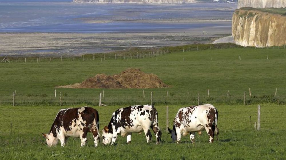 Le taux d’artificialisation est trois fois plus fort en bord de mer. © Stéphane Leitenberger