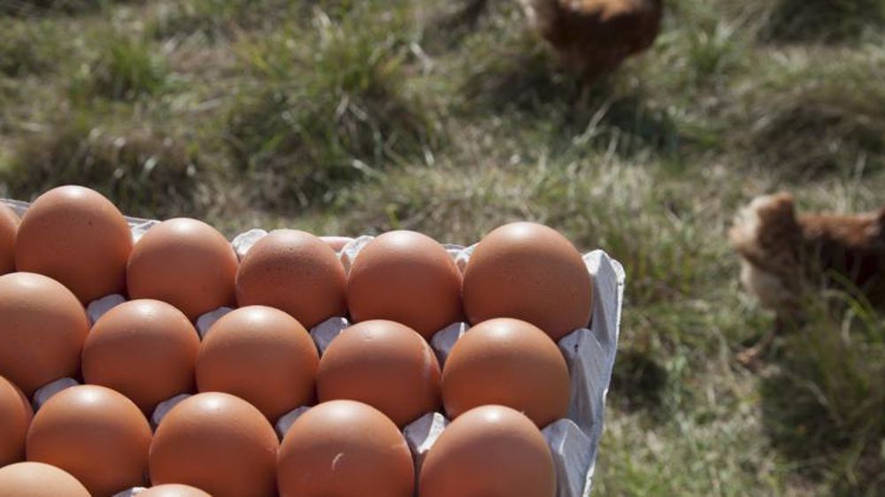 © Sébastien Champion