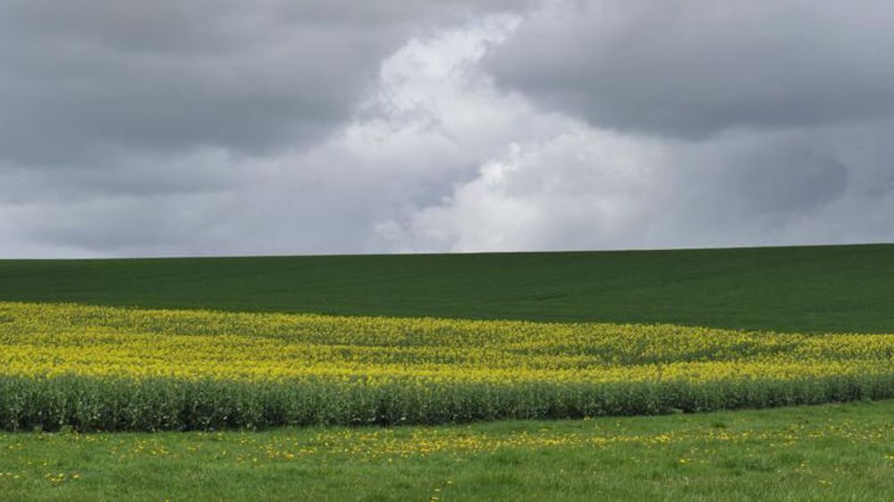 © Cédric Faimali/GFA