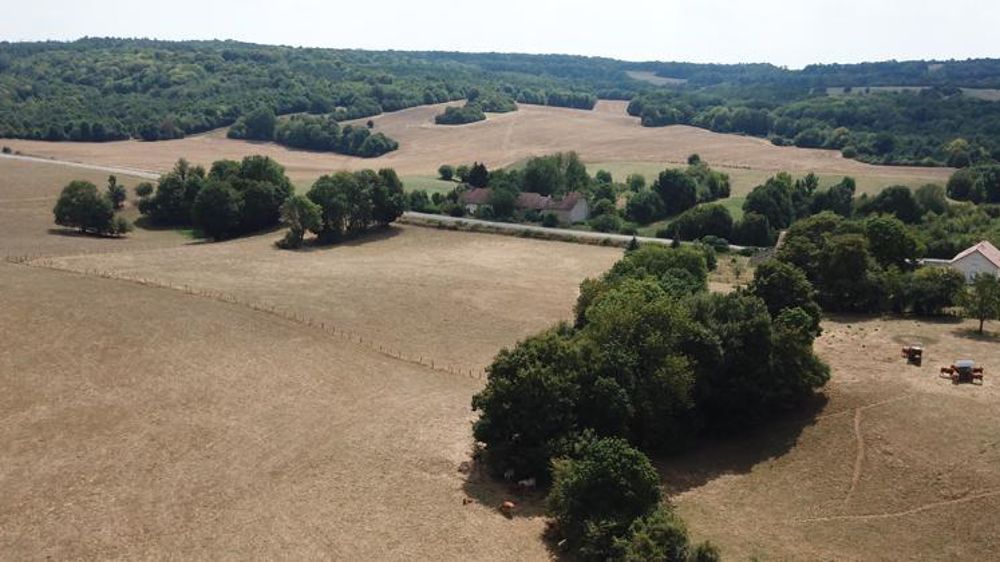 Le décret publié au Journal officiel modifie les critères d’accès au Fonds national de gestion des risques agricoles pour l’année 2018.© C. Faimali/GFA