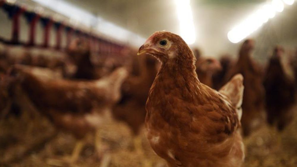 © Cédric Faimali/GFA