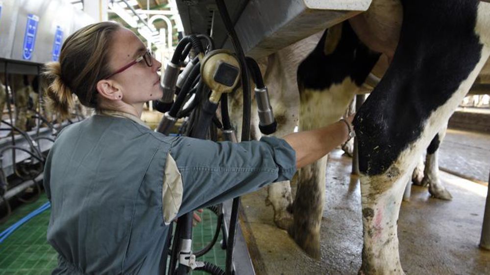 Photo d’illustration. ©Cédric Faimali/GFA