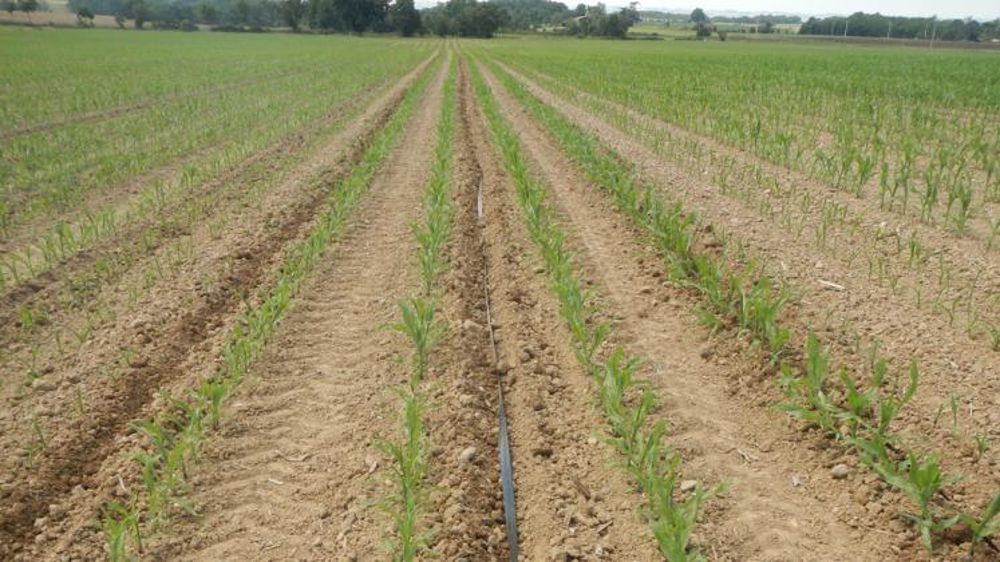 Chantier pour l’installation d’une irrigation au goutte-à-goutte. © V. Gobert/GFA
