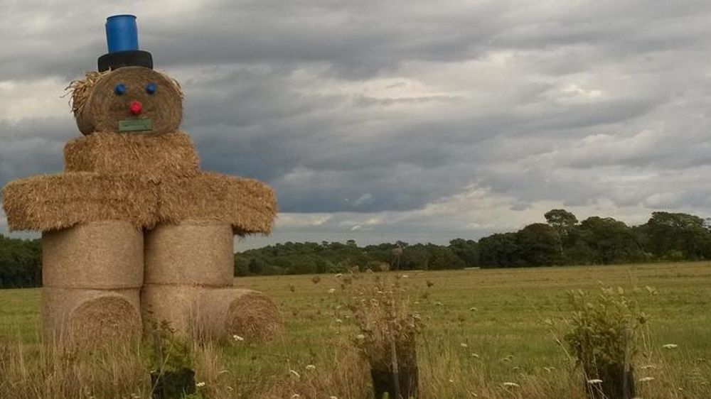 Le Cese entend écarter les seuls propriétaires agricoles de la liste des bénéficiaires des paiements directs. © Pixabay