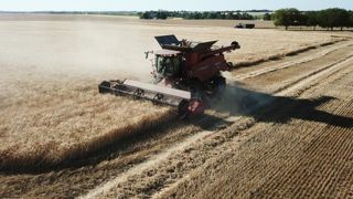 Les rendements français de céréales ont progressé en 2019 selon le ministère de l’Agriculture, à l’exception du maïs (photo d’illustration). ©. Cédric Faimali/GFA Les rendements français de céréales ont progressé en 2019 selon le ministère de l’Agriculture, à l’exception du maïs (photo d’illustration). ©. Cédric Faimali/GFA