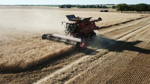 Les rendements français de céréales ont progressé en 2019 selon le ministère de l’Agriculture, à l’exception du maïs (photo d’illustration). ©. Cédric Faimali/GFA Les rendements français de céréales ont progressé en 2019 selon le ministère de l’Agriculture, à l’exception du maïs (photo d’illustration). ©. Cédric Faimali/GFA