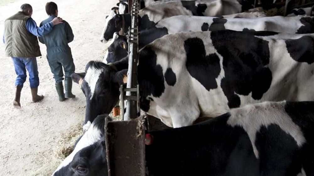 Le manque de trésorerie est la principale cause de stress des entrepreneurs. © C.Thiriet