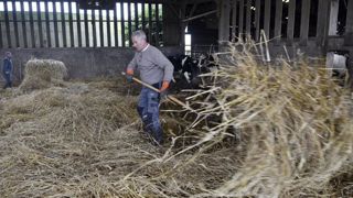 Les partenaires sociaux de la production agricole et des Cuma se sont entendus le 15 juin 2022 pour une nouvelle revalorisation des salaires minimaux de leur convention collective (photo d’illustration). © Cédric Faimali/GFA Les partenaires sociaux de la production agricole et des Cuma se sont entendus le 15 juin 2022 pour une nouvelle revalorisation des salaires minimaux de leur convention collective (photo d’illustration). © Cédric Faimali/GFA