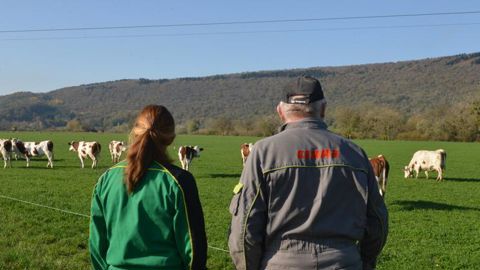 Un paiement redistributif de 30 % du premier pilier sur les 30 premiers hectares aurait apporté 23 % d’aides supplémentaires aux plus petites exploitations. © Jean-Pierre Amet Un paiement redistributif de 30 % du premier pilier sur les 30 premiers hectares aurait apporté 23 % d’aides supplémentaires aux plus petites exploitations. © Jean-Pierre Amet