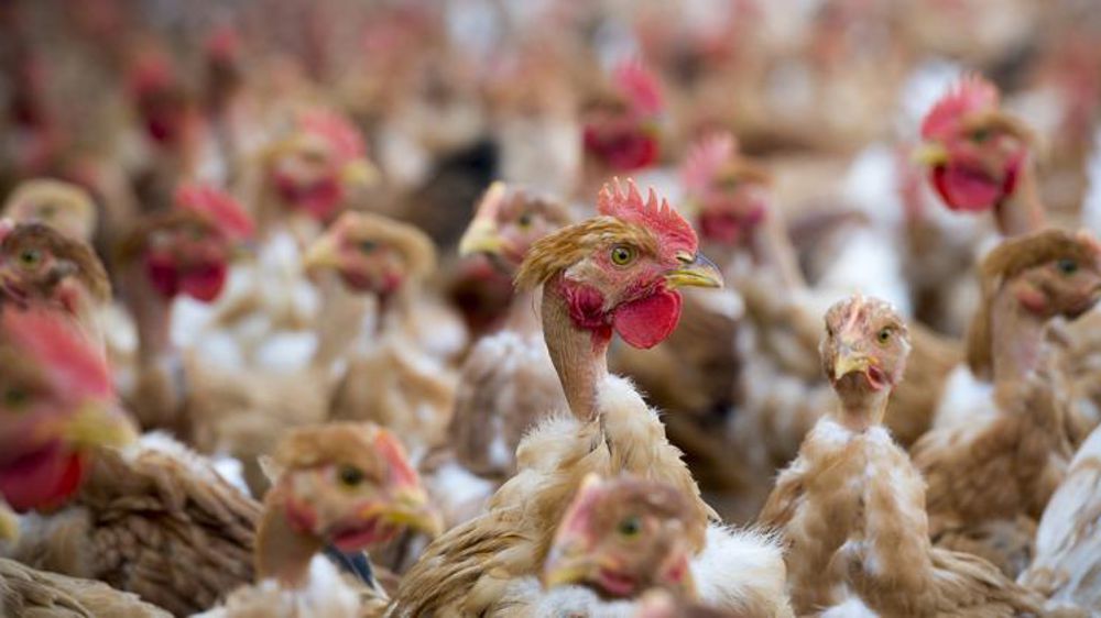 © Jérôme Chabanne