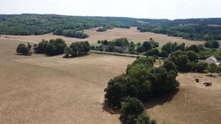 En prairie, le coût des cotisations d’assurance pourrait baisser de 30 à 50 %. © Cédric Faimali/GFA En prairie, le coût des cotisations d’assurance pourrait baisser de 30 à 50 %. © Cédric Faimali/GFA