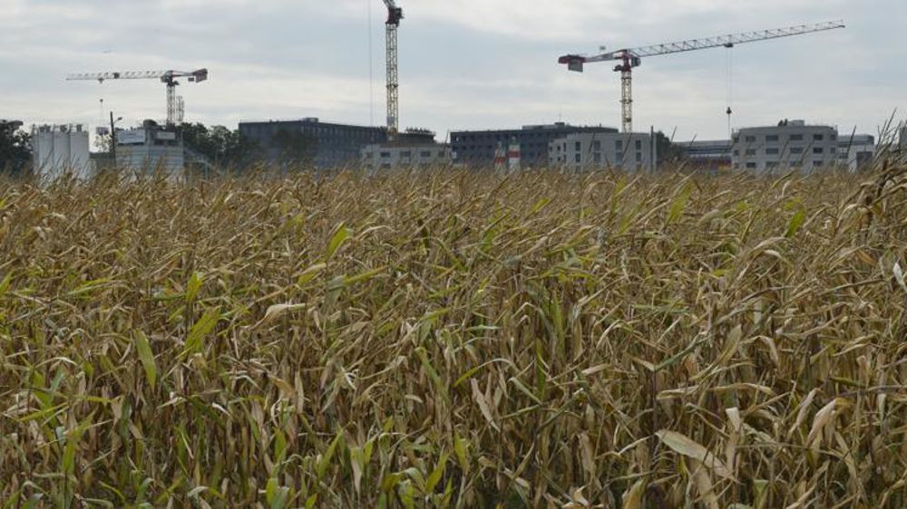 La surface agricole francilienne a perdu 14 000 ha en 15 ans. © Cédric Faimali/GFA