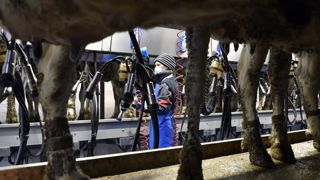 Aucun accord sur une revalorisation des salaires minimaux de la production agricole et des Cuma n’a été trouvé lors des négociations du 23 août 2022 entre les partenaires sociaux. © Cédric Faimali/GFA Aucun accord sur une revalorisation des salaires minimaux de la production agricole et des Cuma n’a été trouvé lors des négociations du 23 août 2022 entre les partenaires sociaux. © Cédric Faimali/GFA