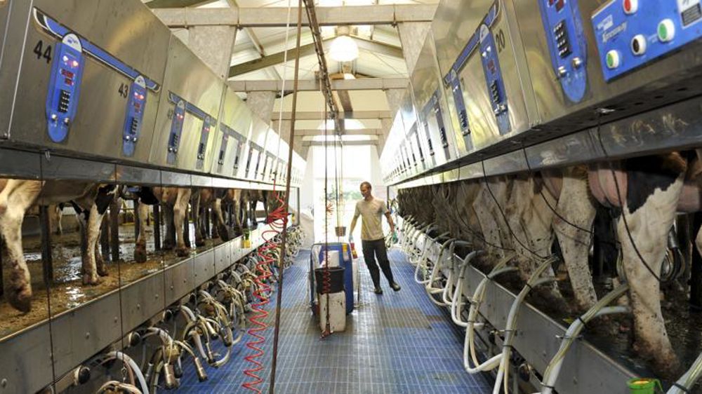 © Cédric Faimali/GFA