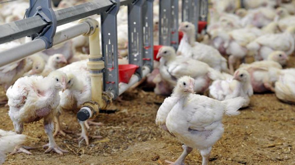 © Cédric Faimali/GFA