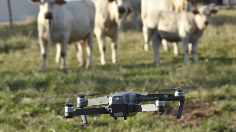 © Cédric Faimali/GFA